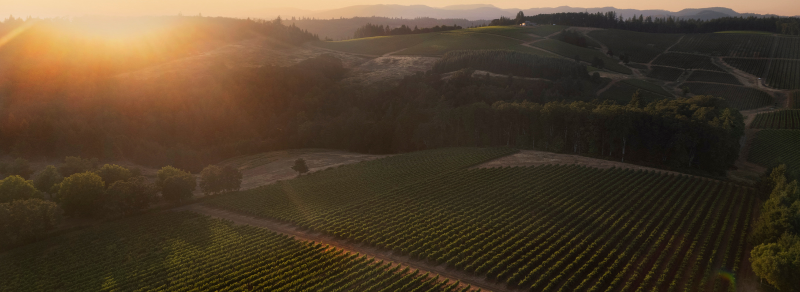 Hyland Estates Winery Tasting Room